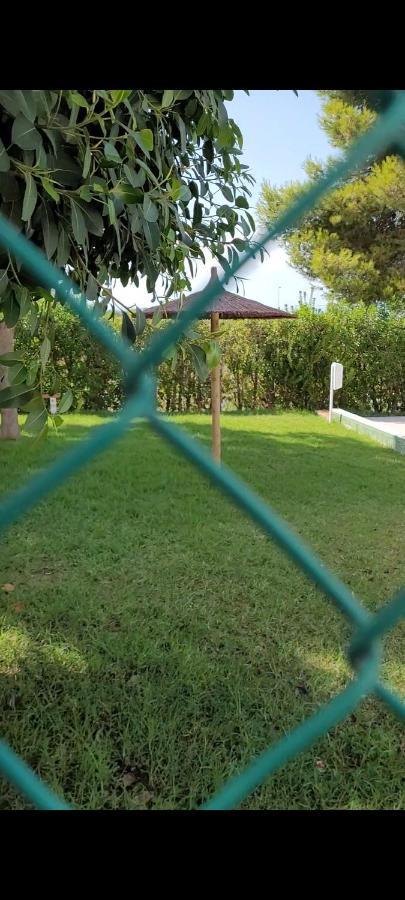 Apartamento Bajo Con Terraza Y Piscina Torrevieja Exterior foto