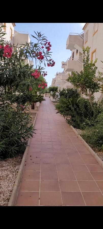 Apartamento Bajo Con Terraza Y Piscina Torrevieja Exterior foto